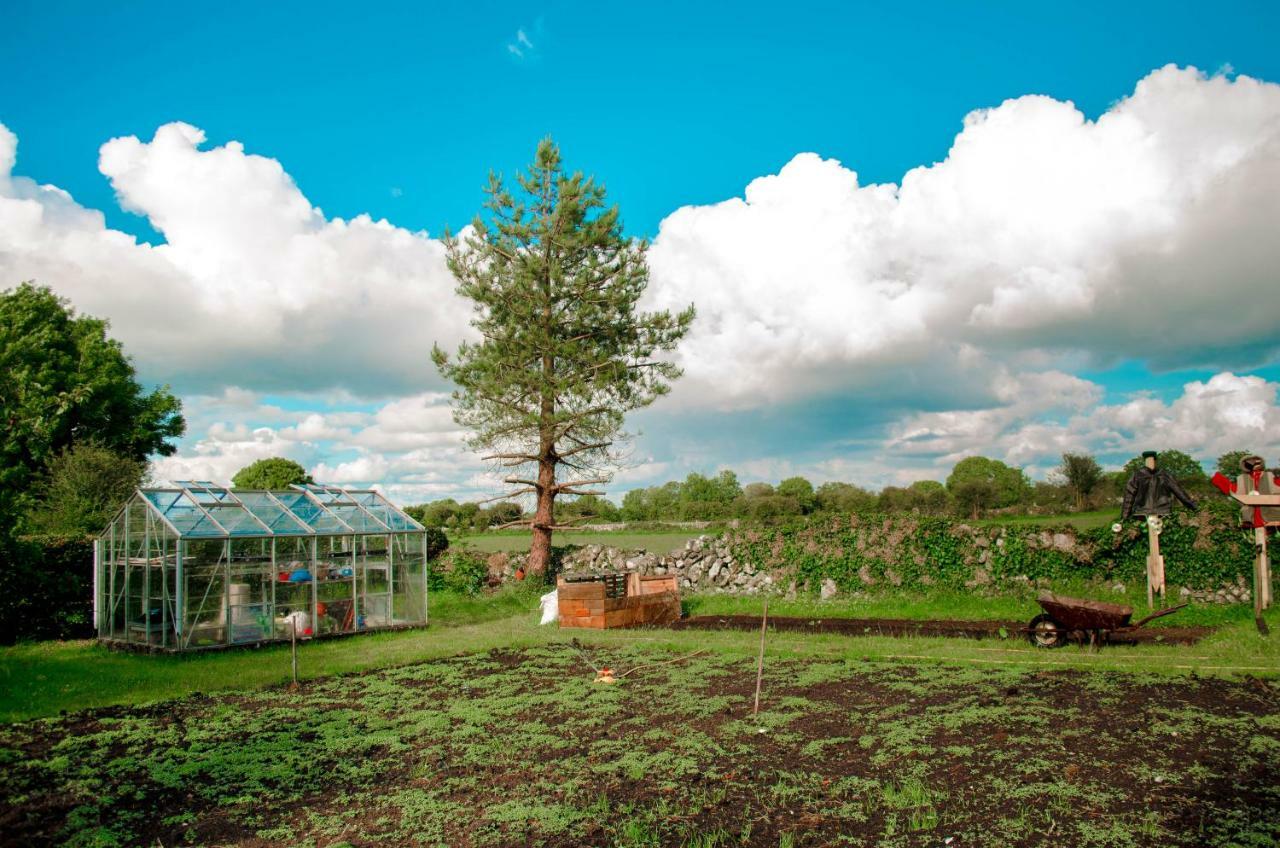 Corrib View Farmhouse Голуэй Экстерьер фото