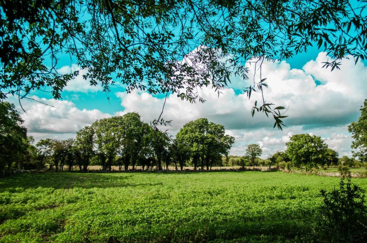 Corrib View Farmhouse Голуэй Экстерьер фото